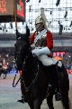 Cavalry - 00245